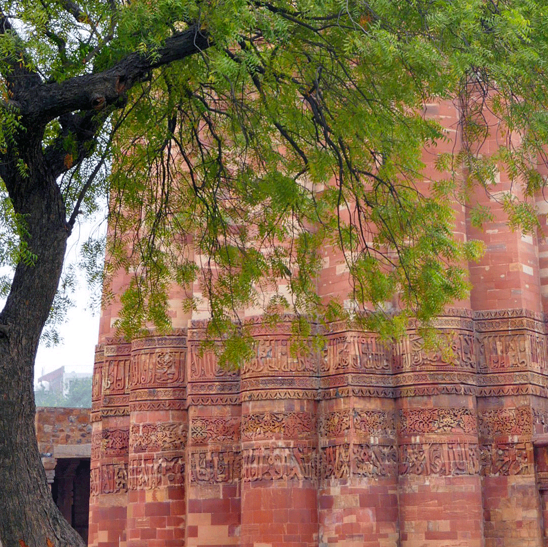 P1100900-001