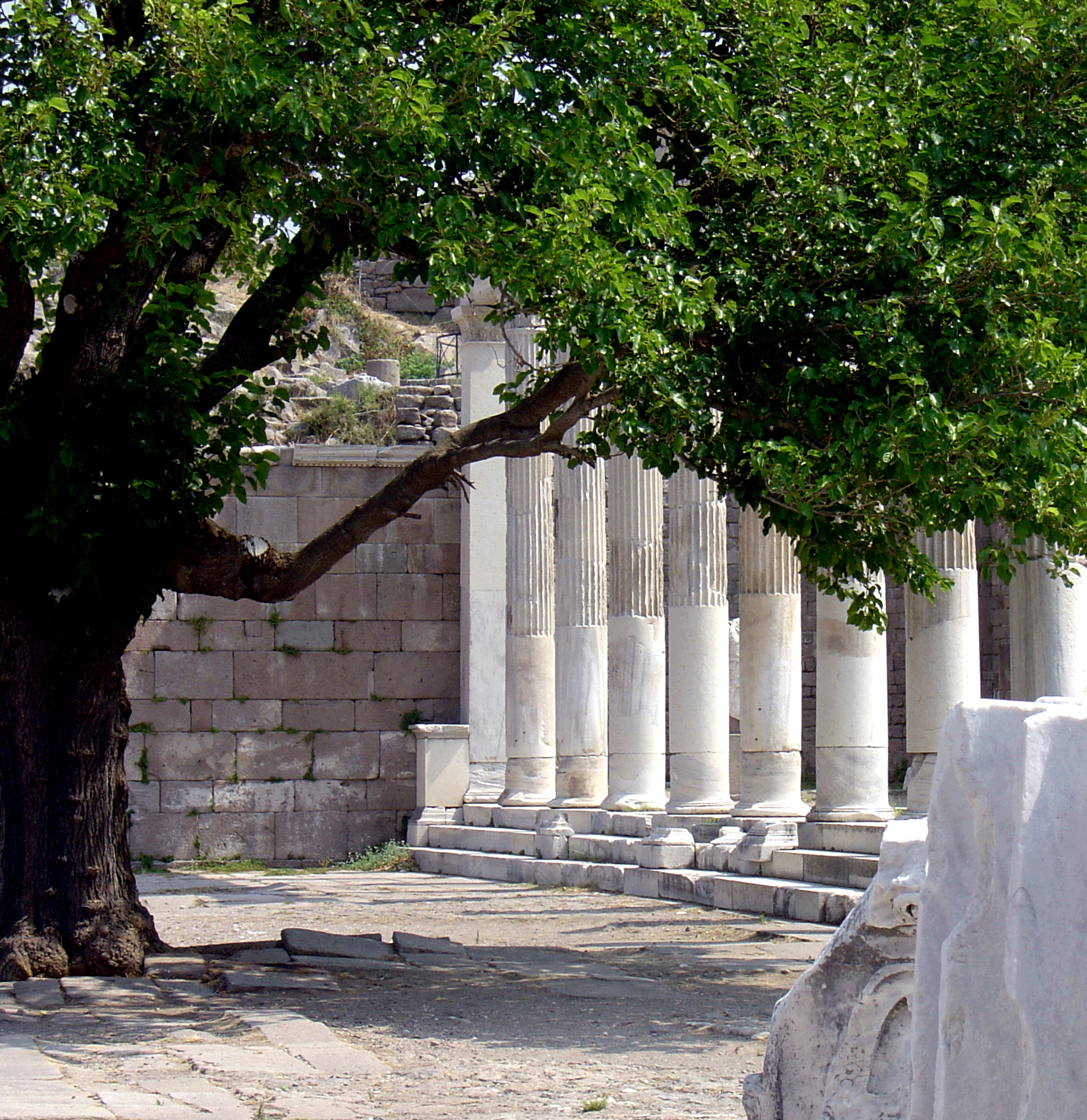 DSC01236_4-001