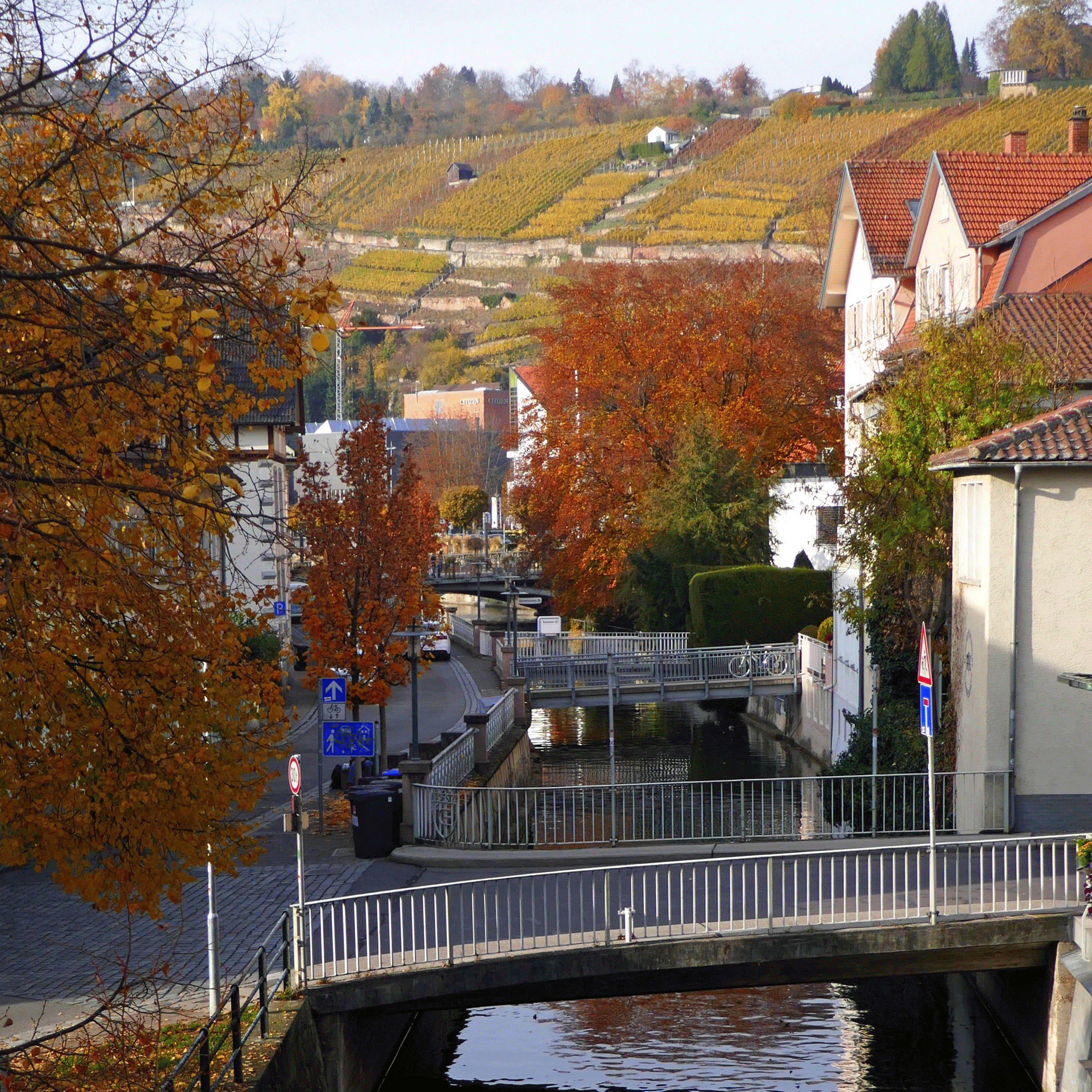 P1090849-001