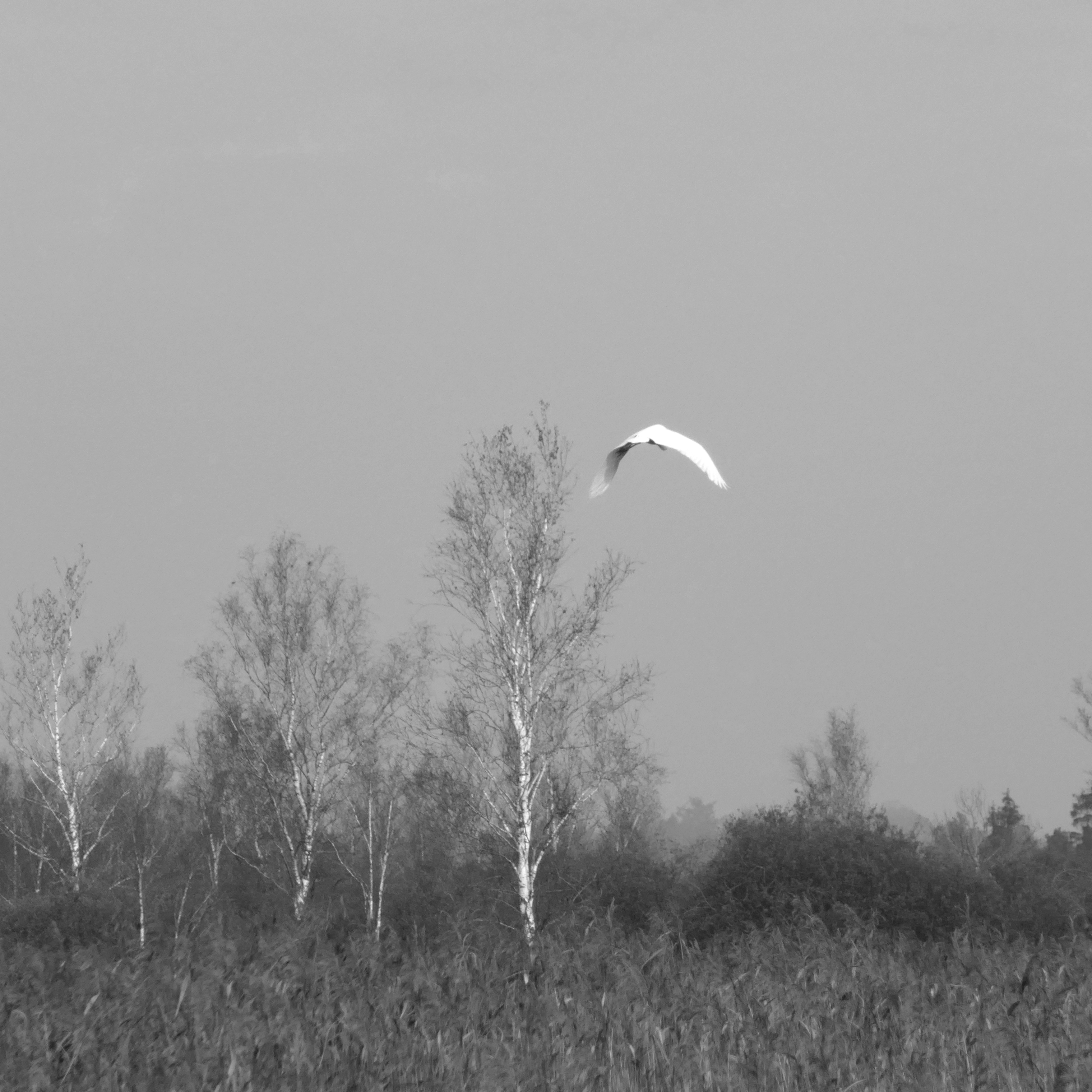 P1090538-001