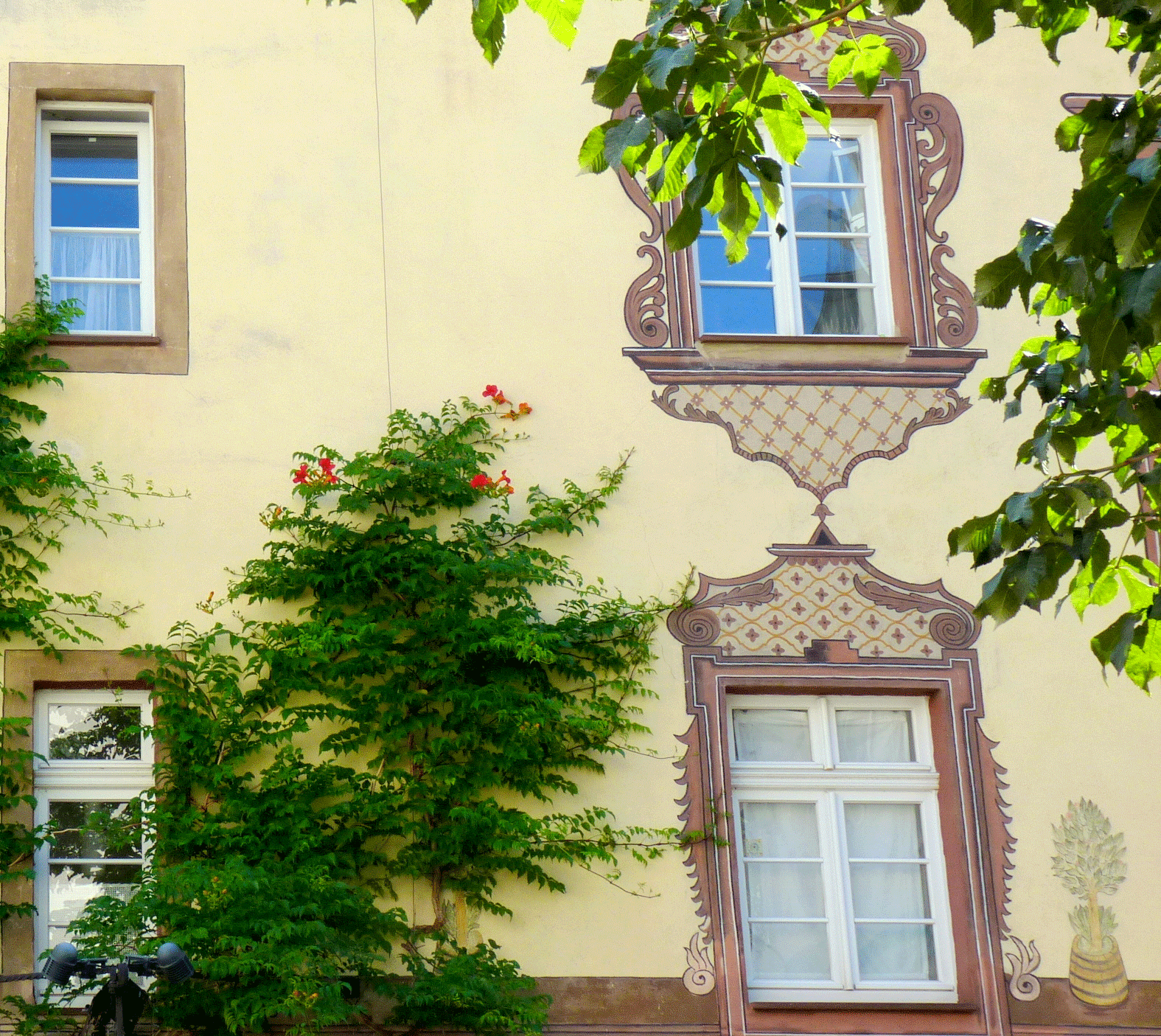 P1060416-001