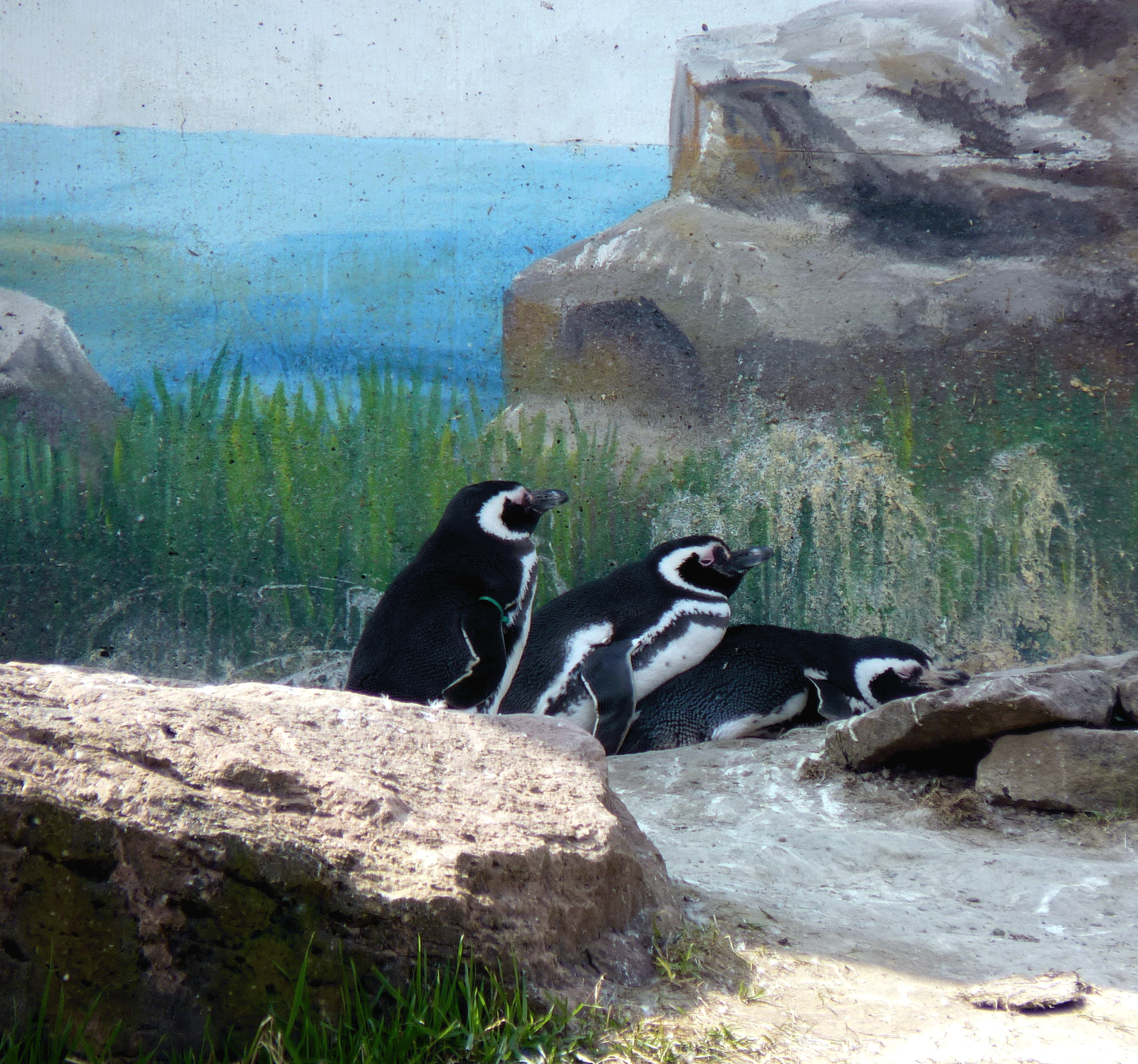 P1080140-001