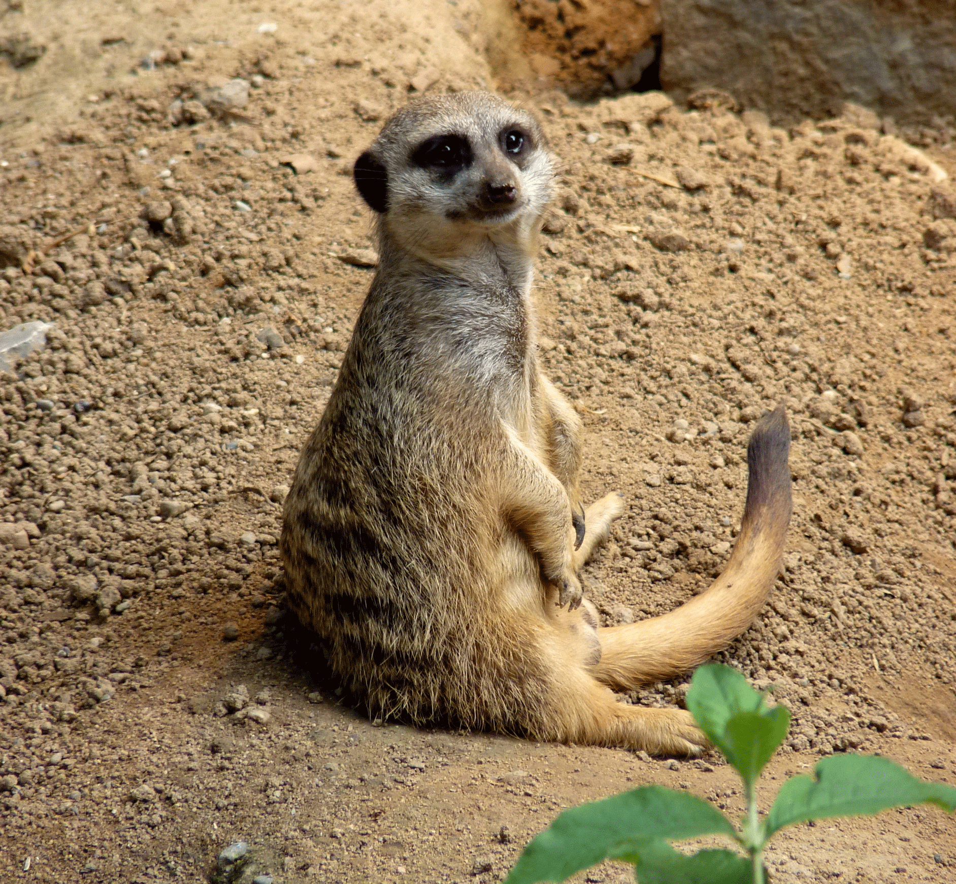 P1060754-001