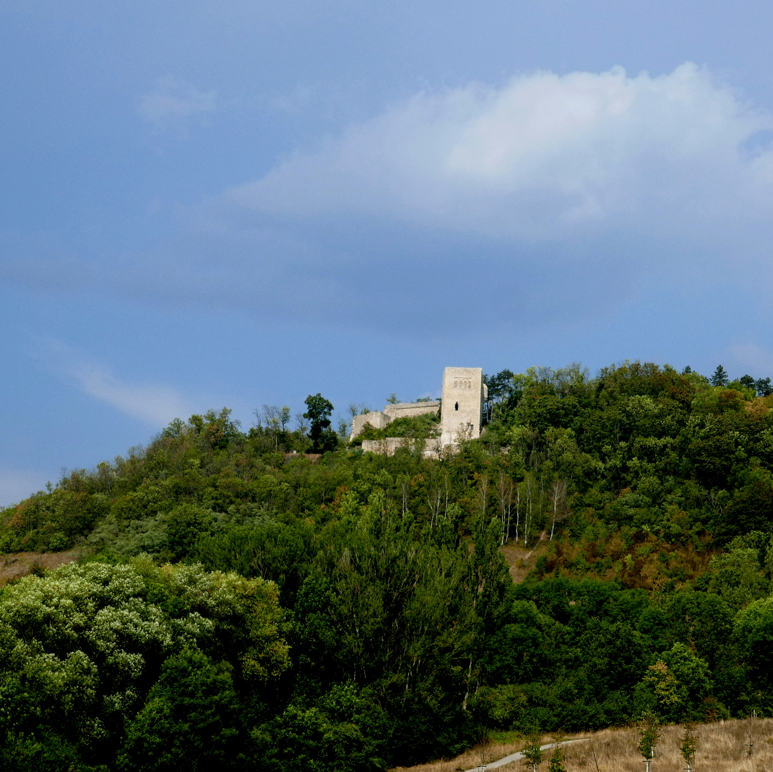 P1120704-001