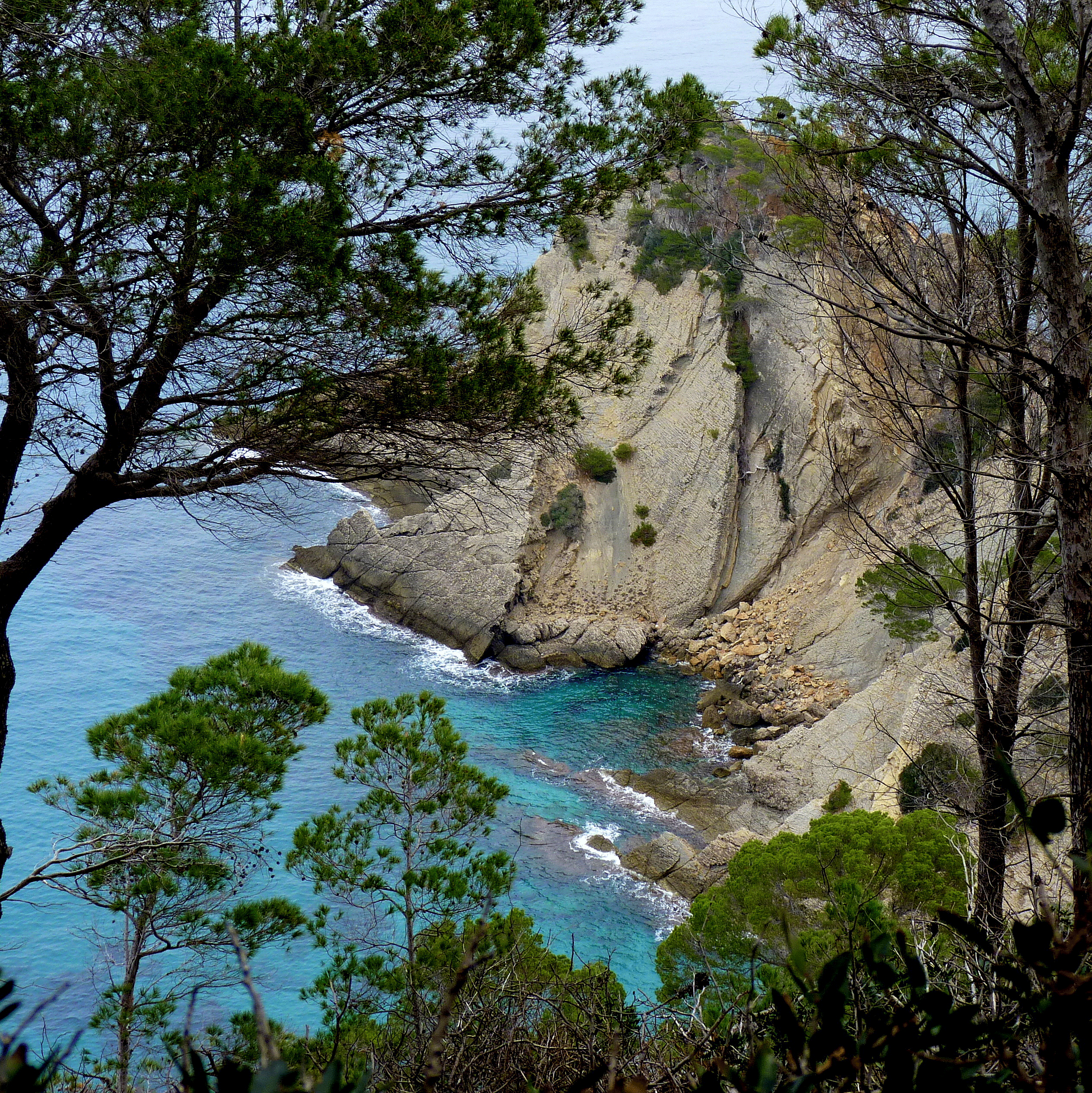 P1170856-001