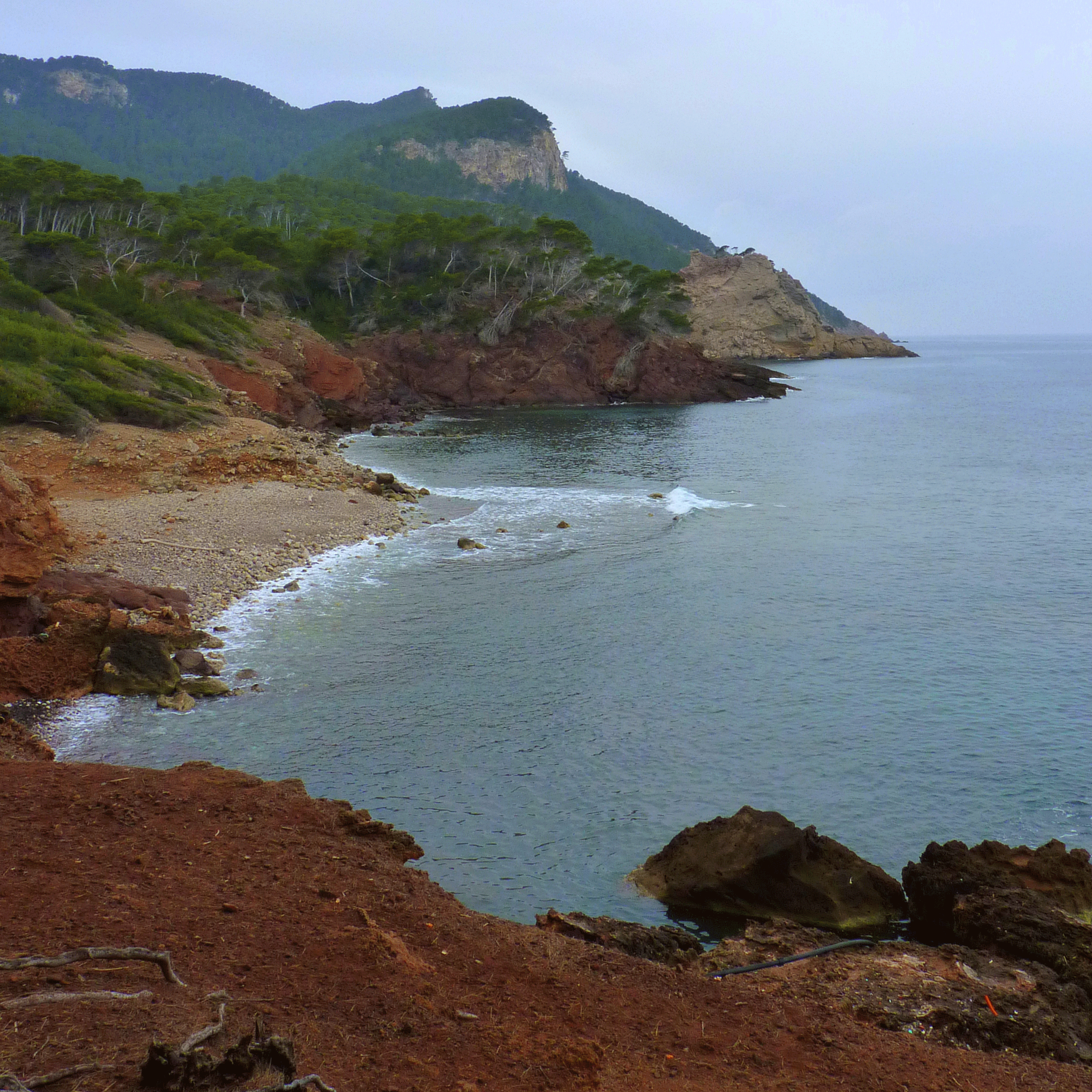 P1170875-001