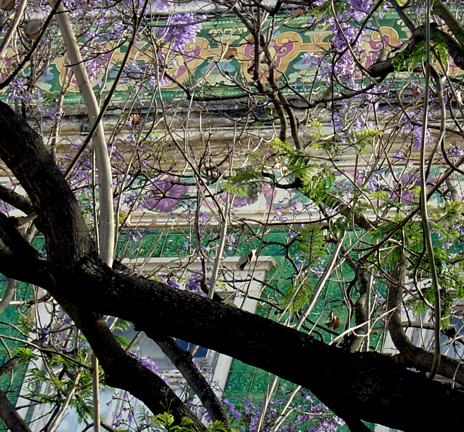 DSC00508