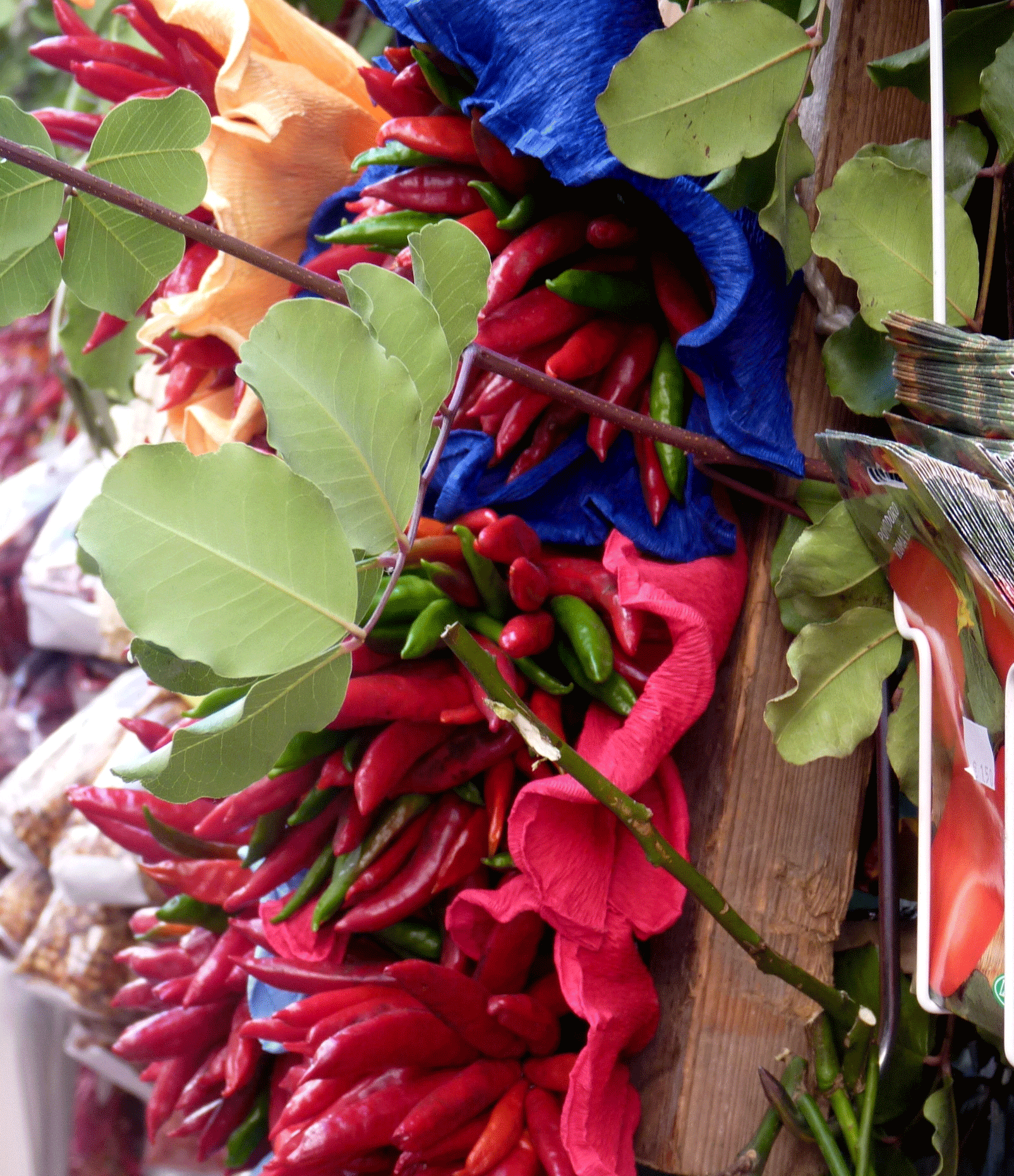P1040066-001