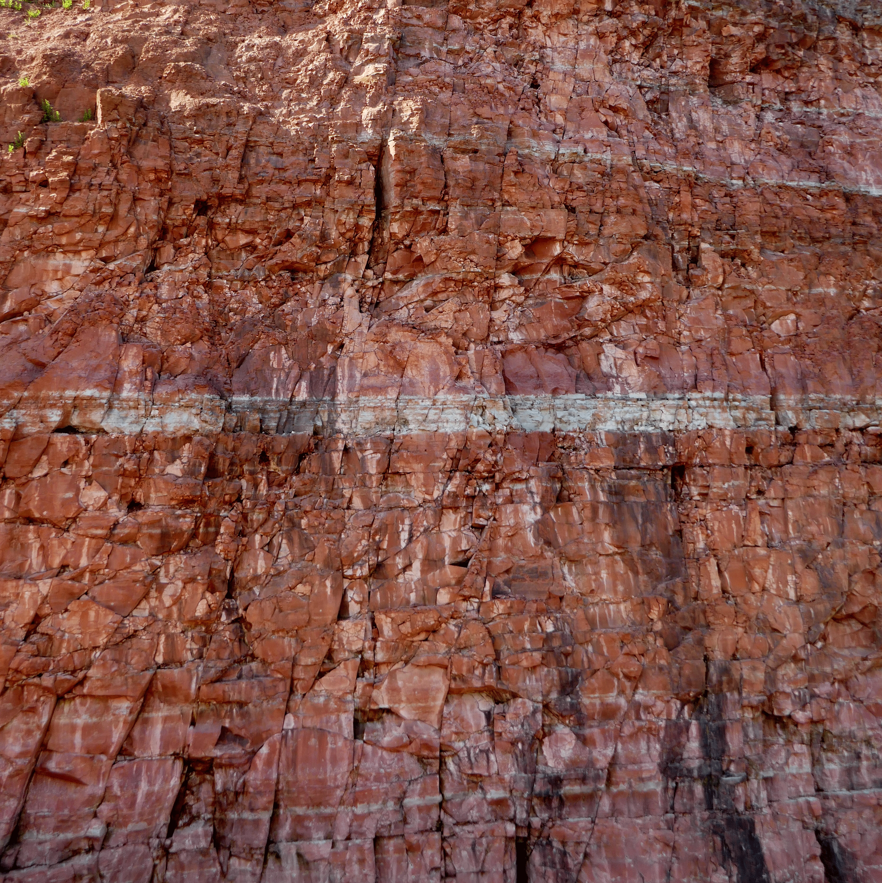 P1070683-001