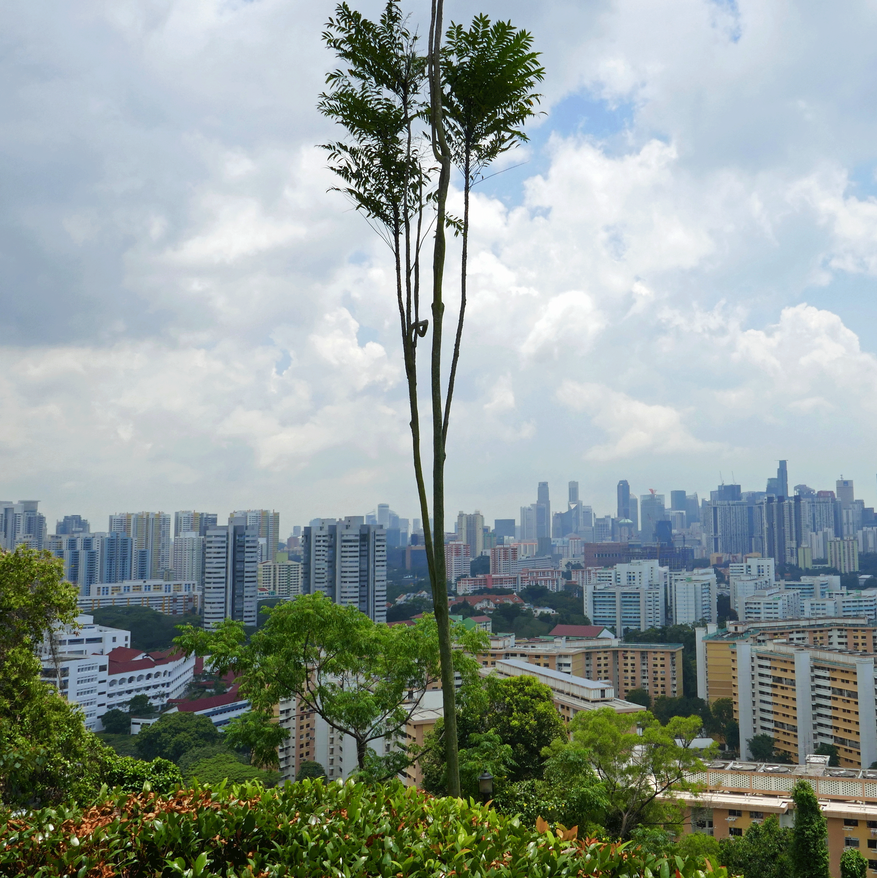 singapur_homepage_-040