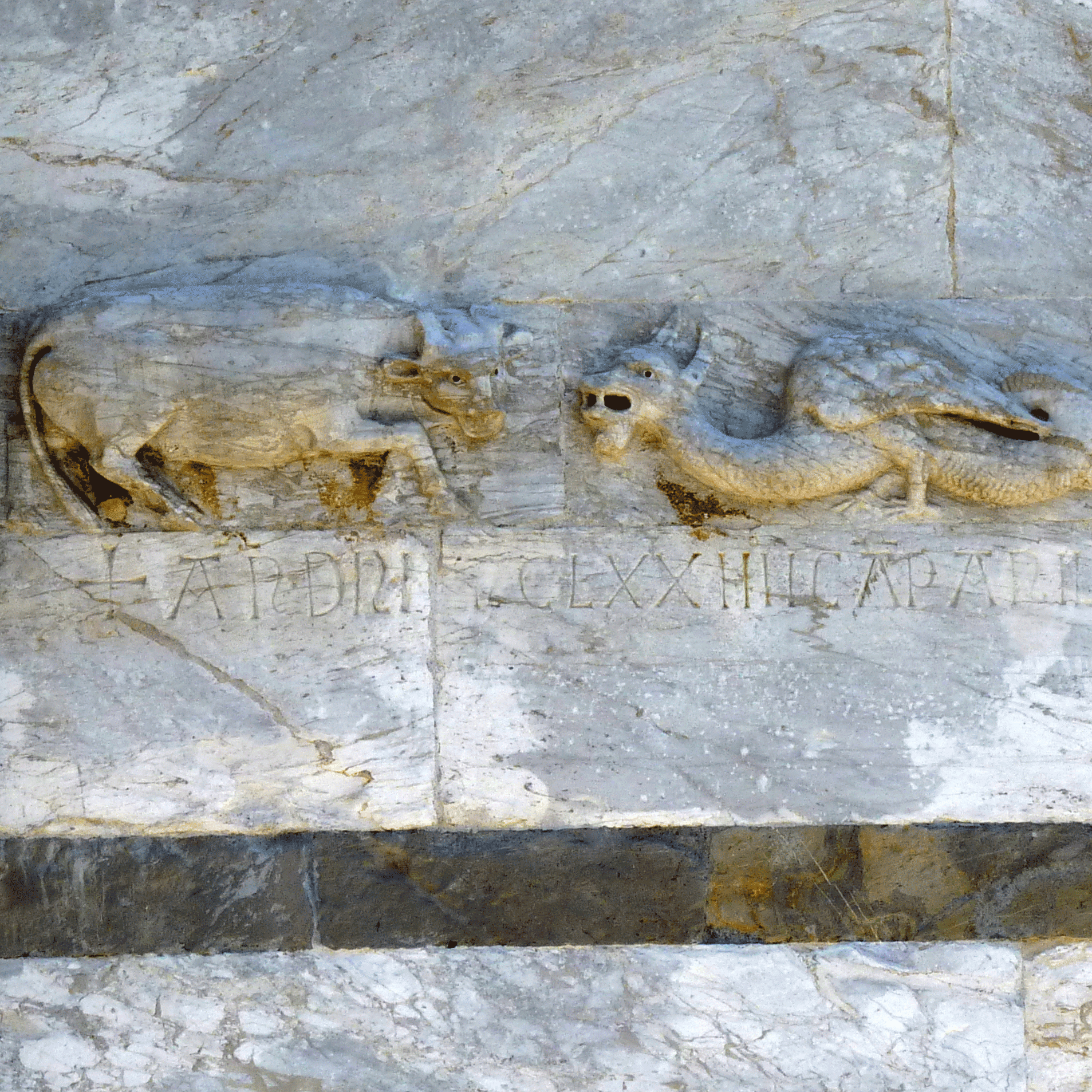 P1130215-001