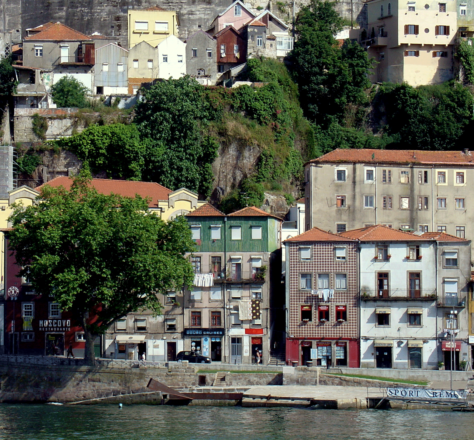 DSC00240