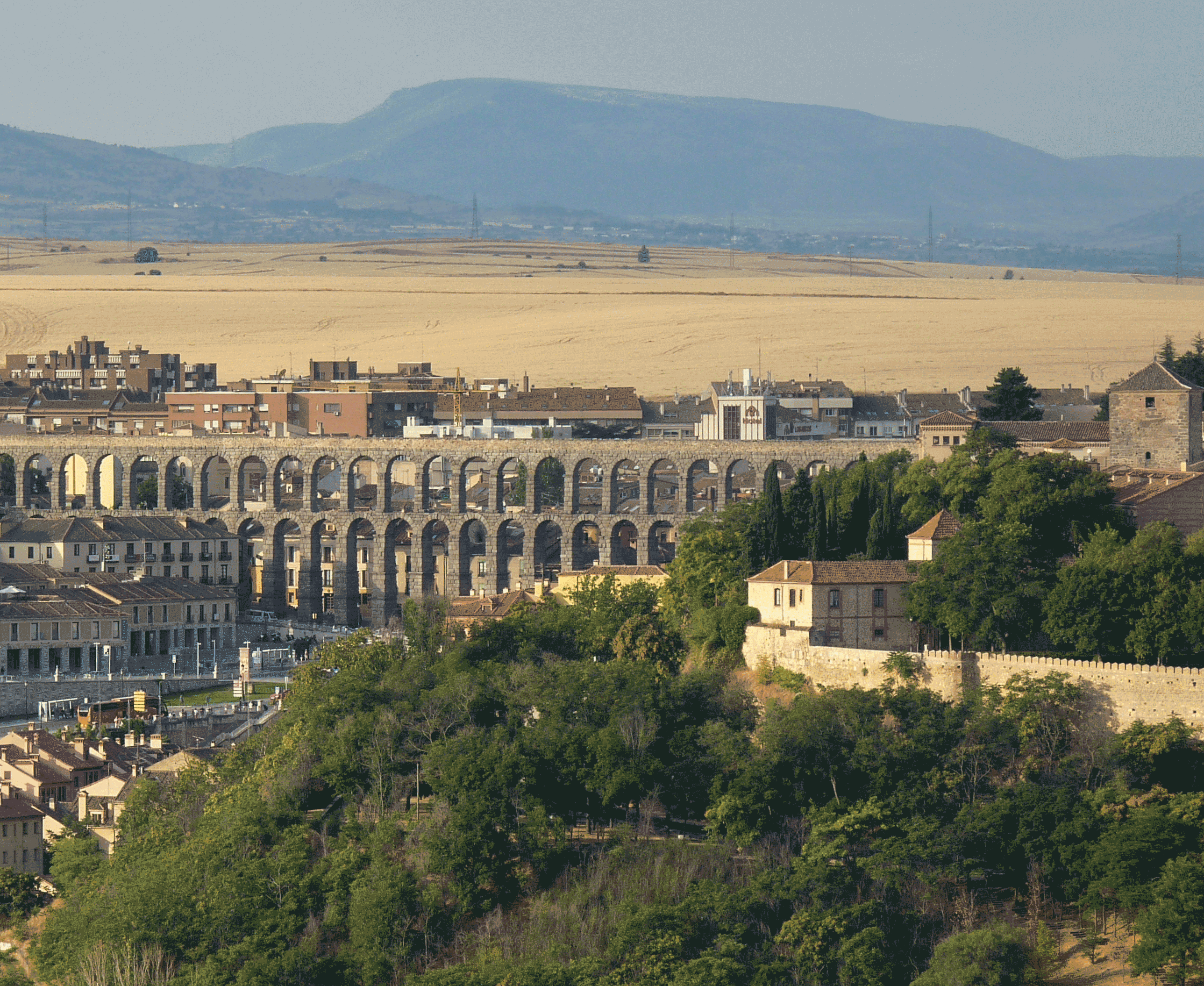 P1100142-001