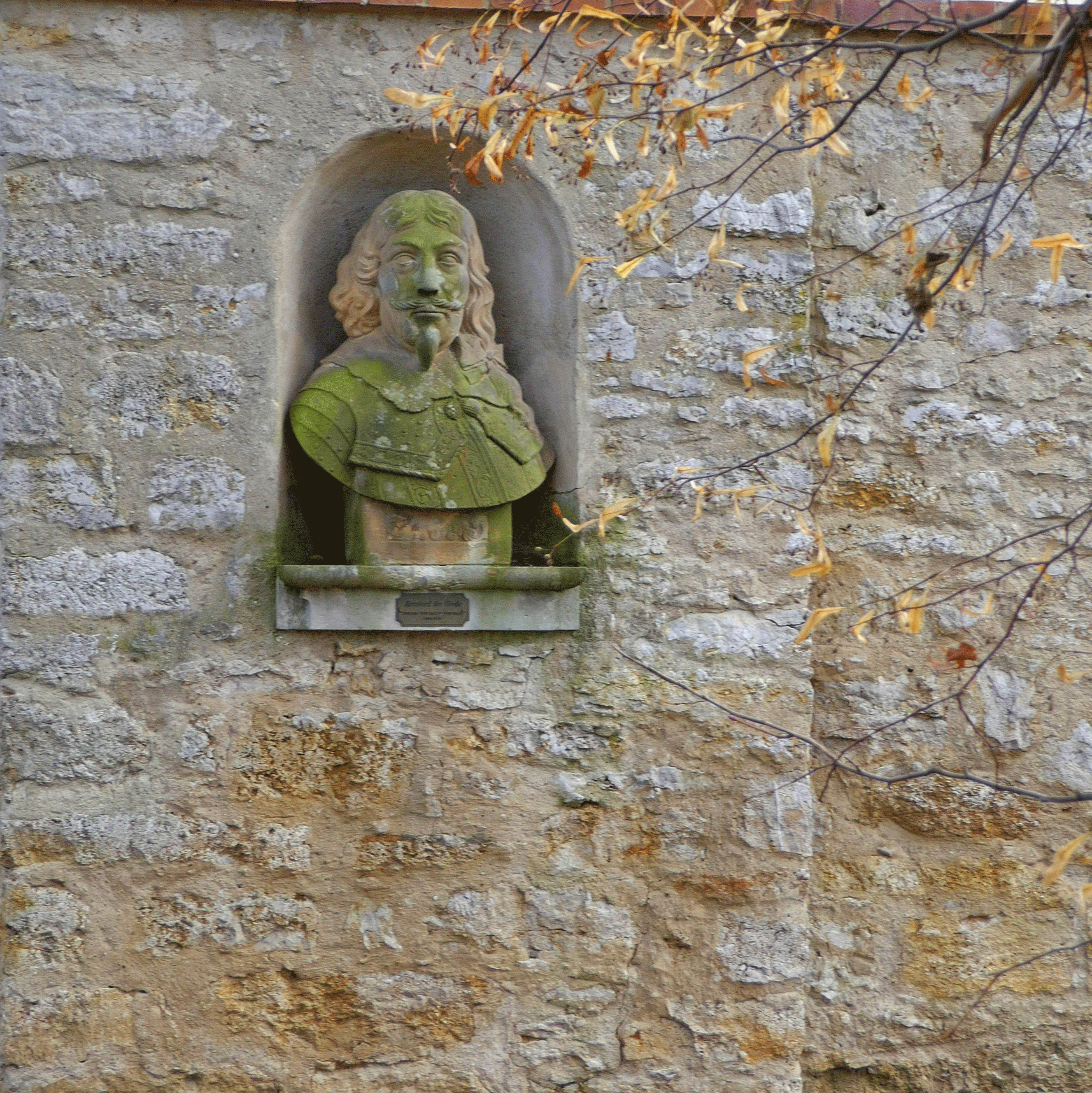 P1130785-001