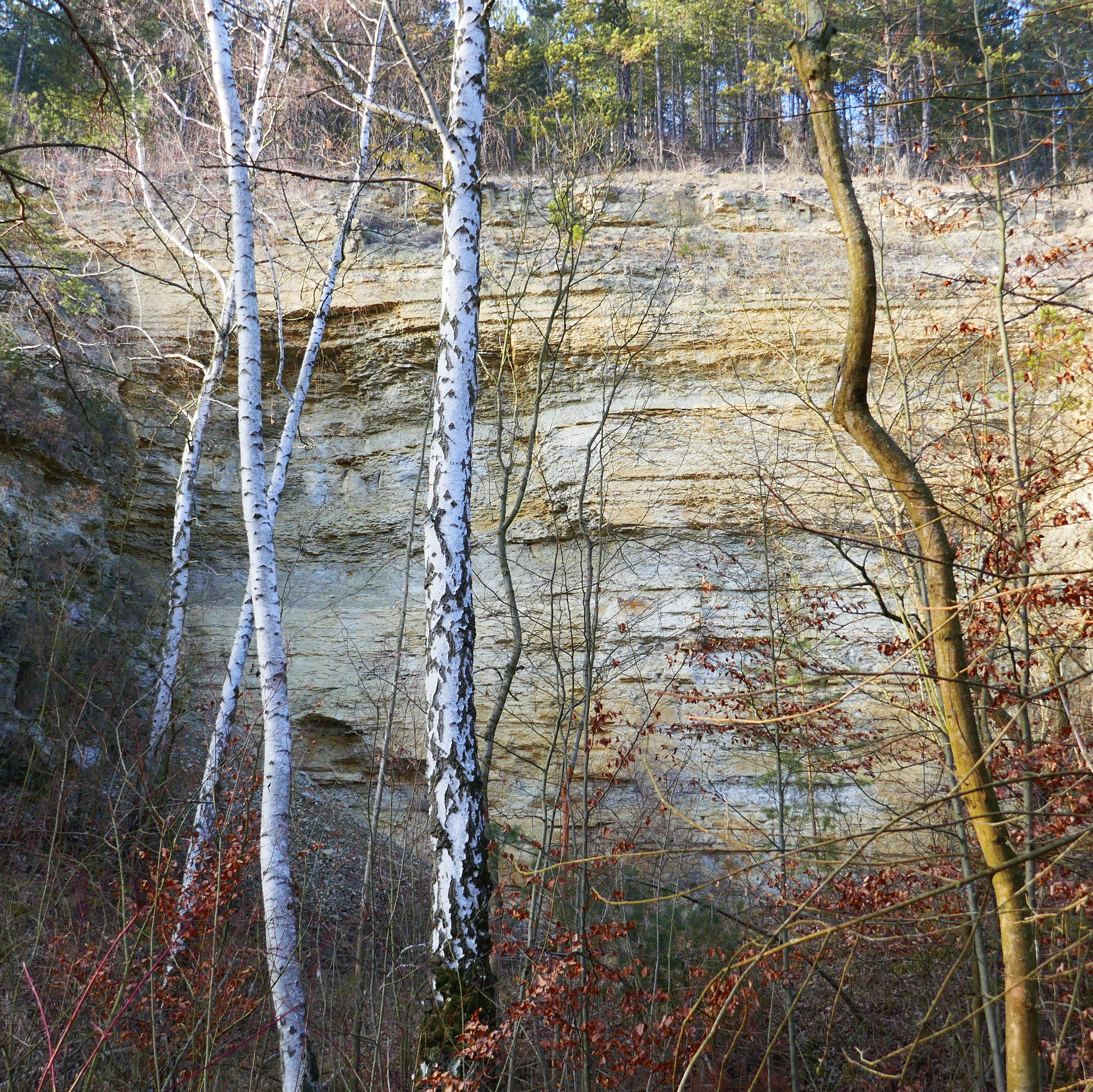 P1150562-001