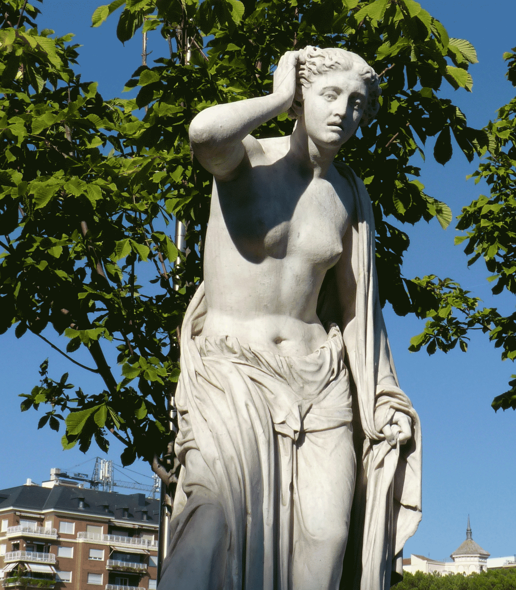 P1090427-001