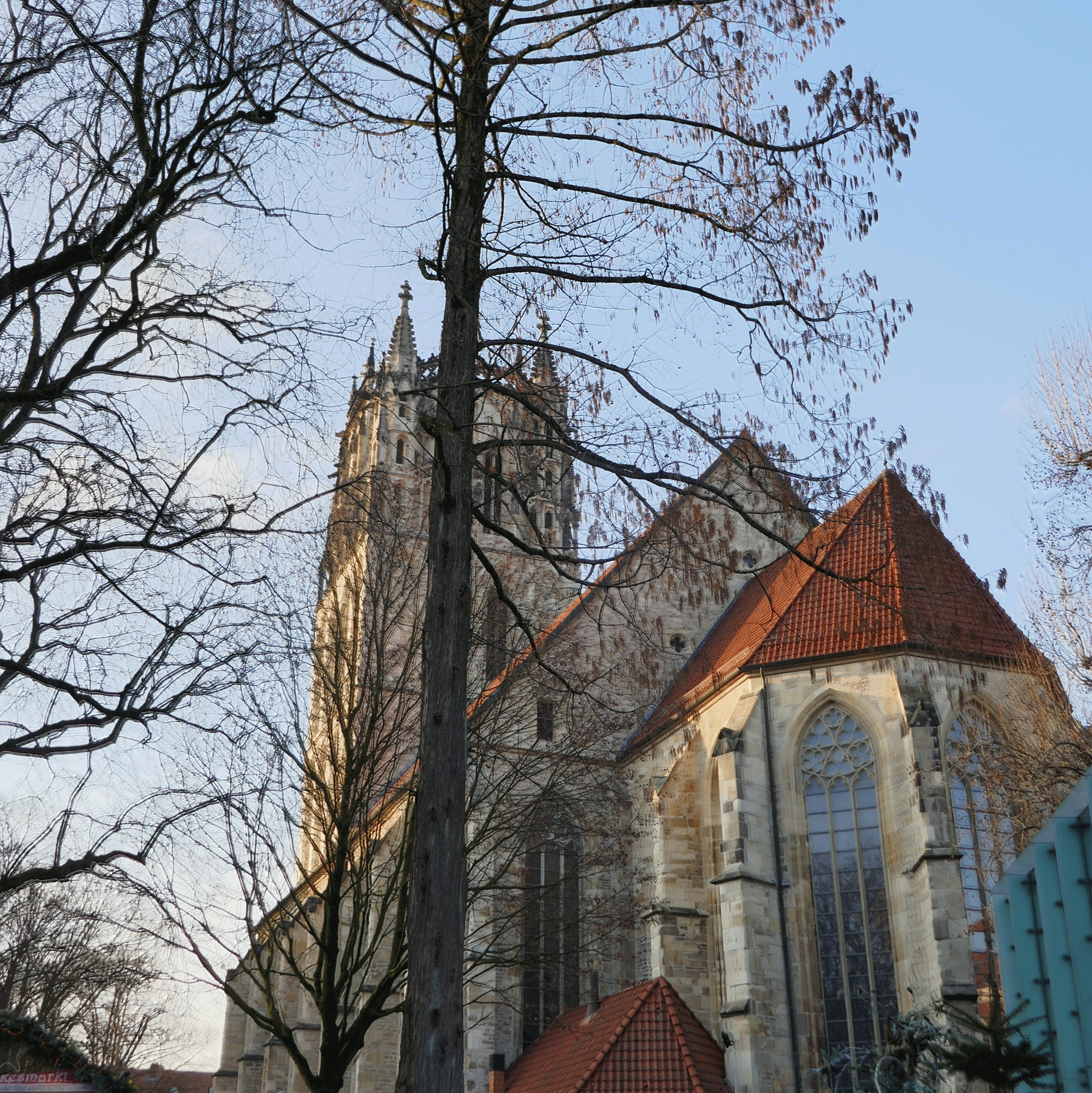 P1130884-001